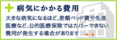�a�C�ɂ������p
